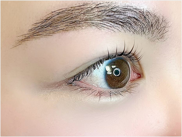 eyebrow eyebrow